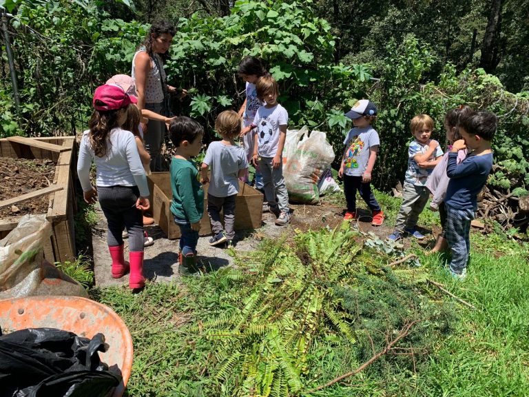 curso de verano para ninos ninas valle de bravo acatitlan huerto 768x576