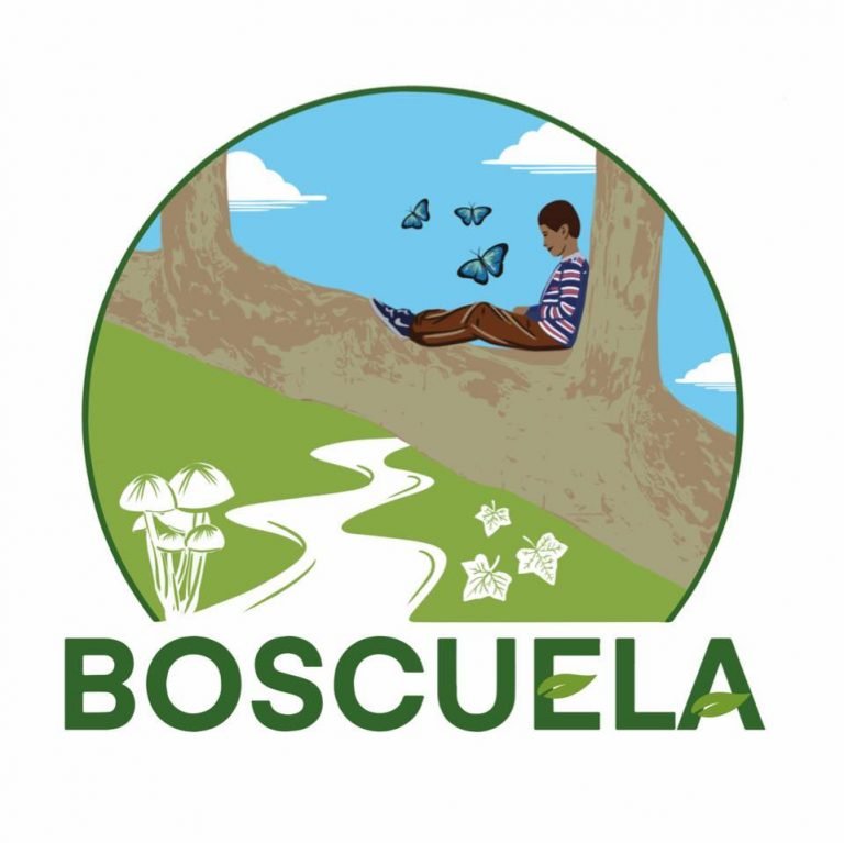 boscuela logo 768x767