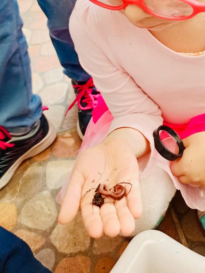 Lombricomposta Lombricomposta