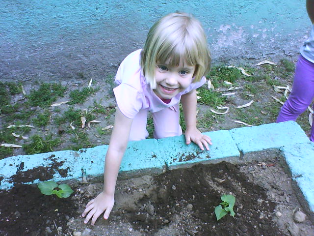DSC00234
