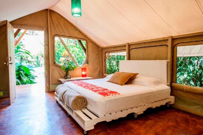 picocanoa glaming SAFARI12 1920w 768x512