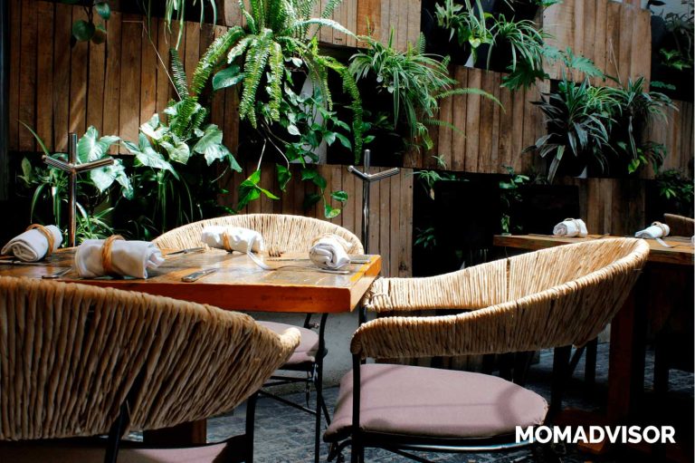restaurantes salicornia momadvisor condesa desayuno comer con ninos sillas 1 768x511