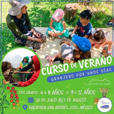 Flyer curso de verano 2023 1
