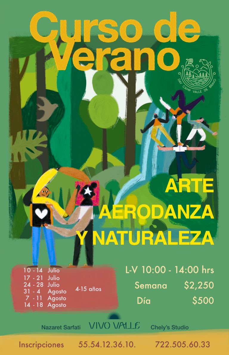 curso de verano momadvisor 1 768x1186