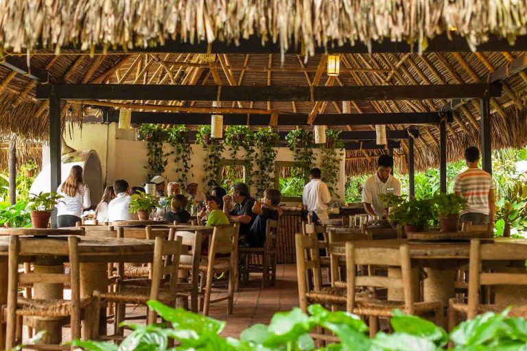 picocanoa restaurante 768x512