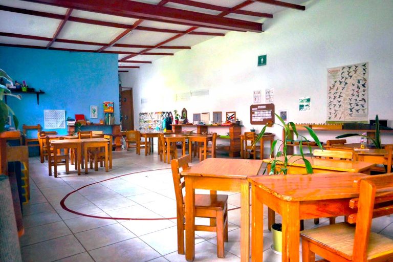 Nenet calli escuela montessori colonia de valle cdmx ambiente 768x512