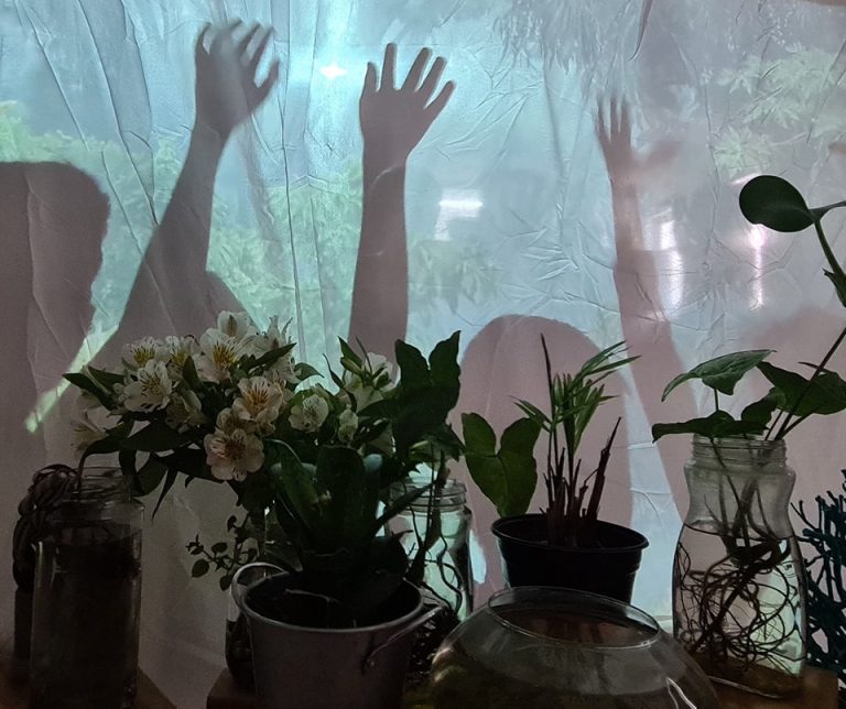Ibero plantas y brazos ninos 1 768x644