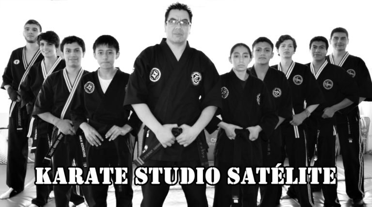 logo karate studio satelite 768x427