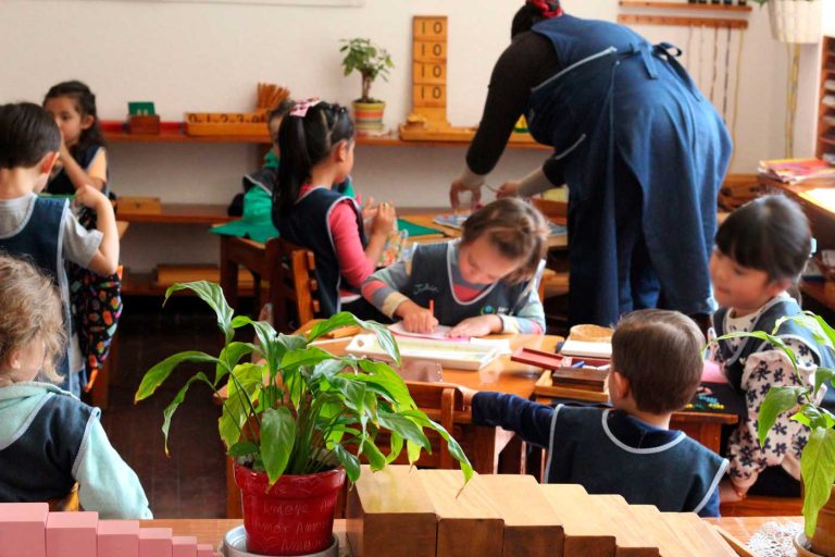 Nenet calli escuela montessori colonia de valle cdmx salon ambiente plantas 2 768x512