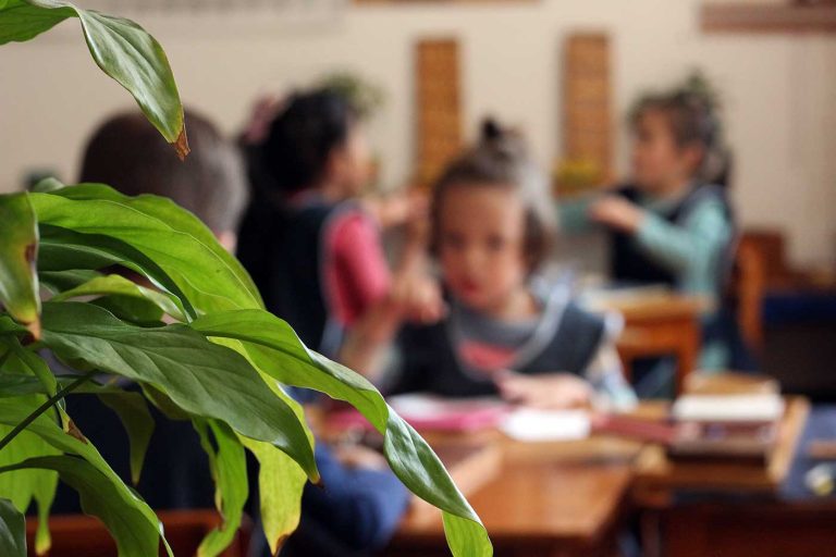 Nenet calli montessori preescolar primaria taller casa de ninos comunidad infantil colonia del valle salon trabajo 768x512