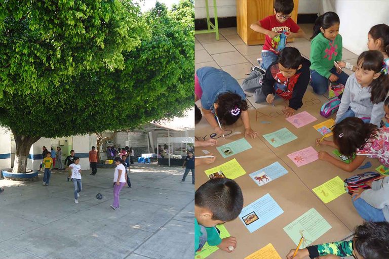 escuela freinet cuernavaca 2 768x512