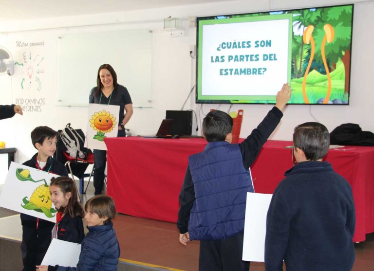 Colegio Giocosa Colonia Pedregal CDMX escuela no tradicional constructivista maker space design thinking inteligencia estambre 768x557