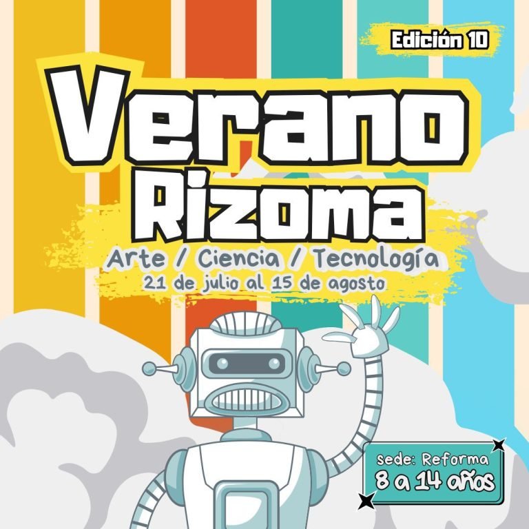 curso de verano rizoma colectivo 768x768