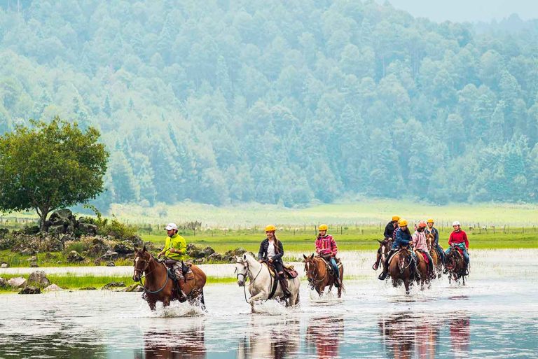 Pipiol campamento valle de bravo caballos lago 768x513