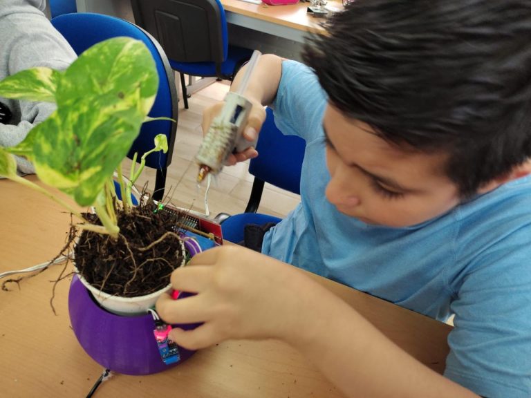 curso de verano HOKY crea robot planta 2 768x576