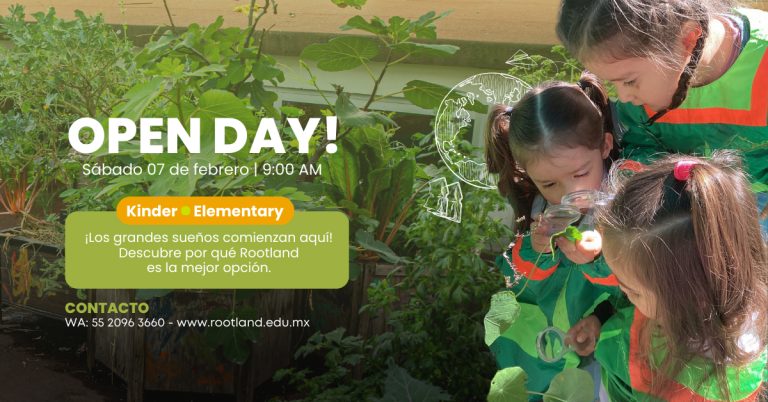 BANNER OPEN DAY 768x402