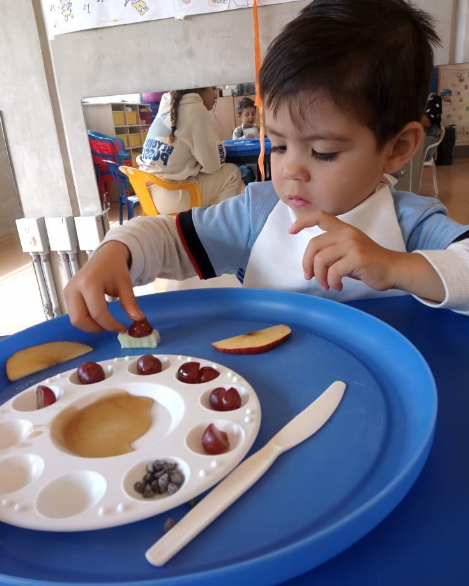 EXPLORANDO ALIMENTOS