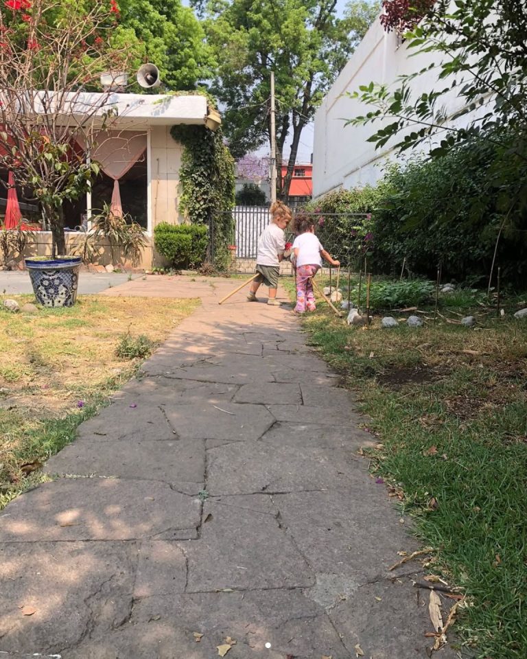 Madre selva iniciativa waldorf coyoacan cdmx mexico jardin 768x960