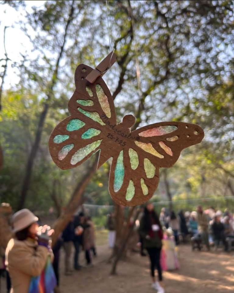 Madre selva iniciativa waldorf coyoacan cdmx mexico mariposa 768x962