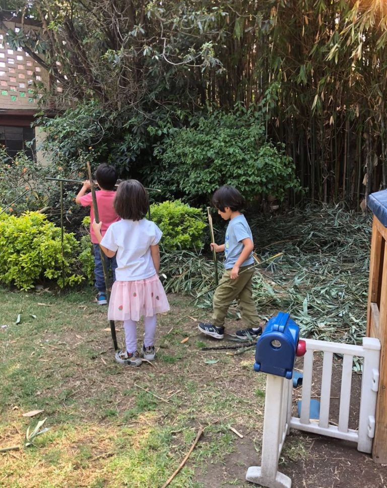 Madre selva iniciativa waldorf coyoacan cdmx mexico ninos 768x967