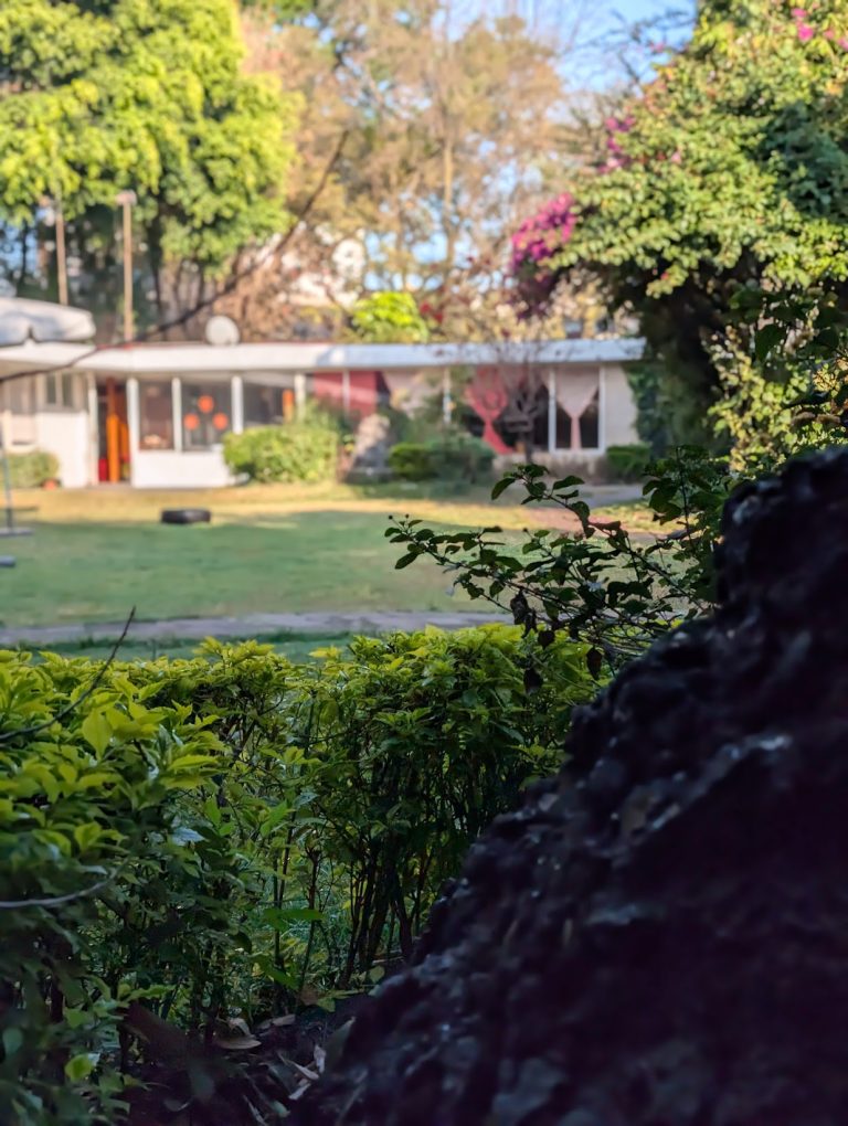 Madreselva escuela waldorf coyoacan jardines 768x1020