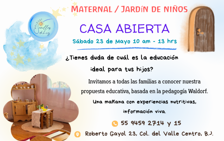 CREDENCIAL 2 768x485