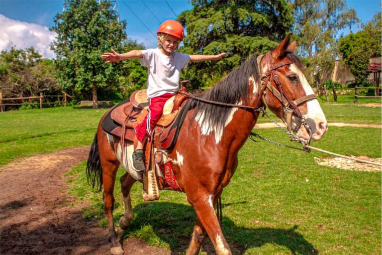 Pipiol campamento caballos jinete 768x512