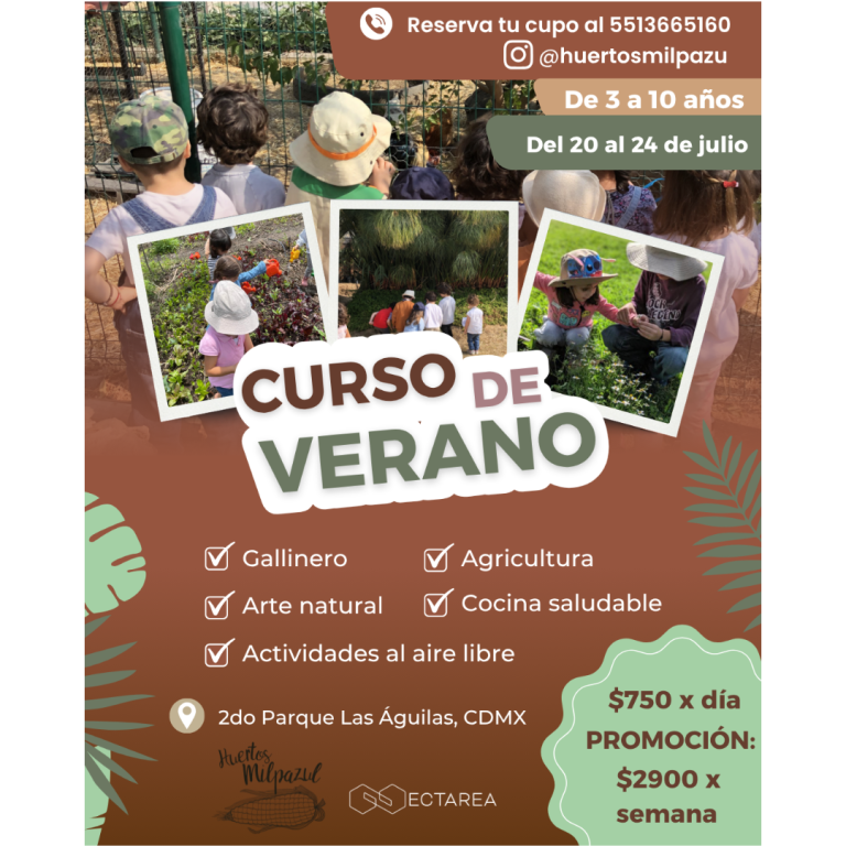 Curso de verano flyers 2 768x768