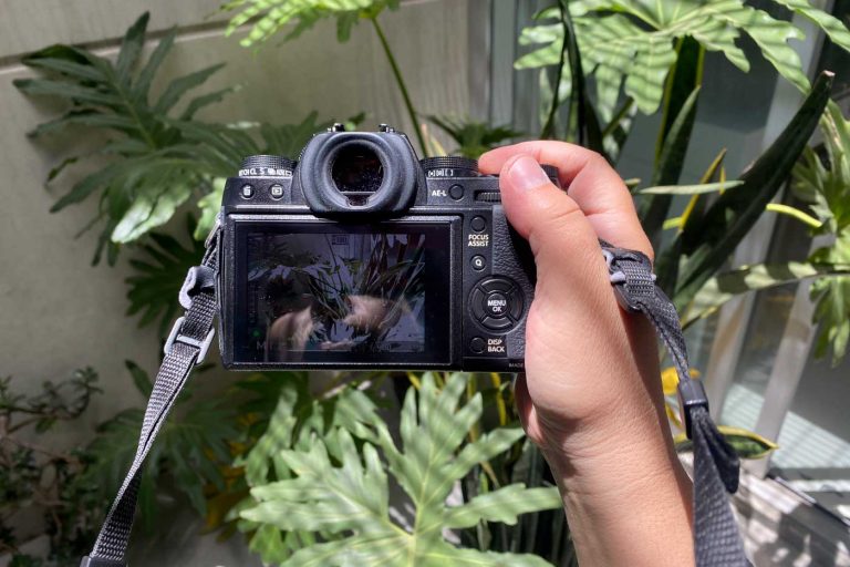 Summer photo camp curso de verano de fotografia col condesa 12 768x512