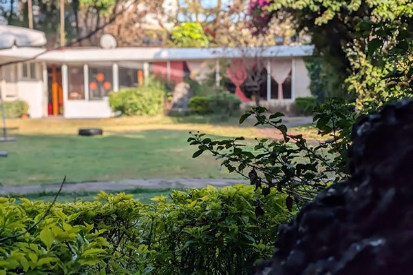 Madreselva-escuela-waldorf-coyoacan-jardines-600