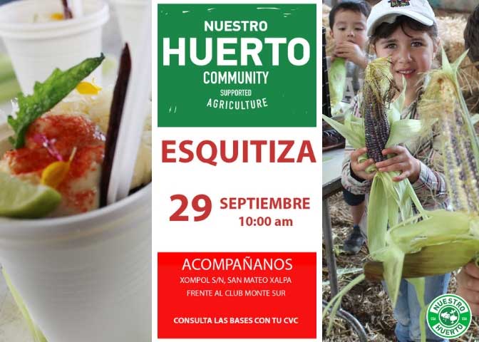 momadvisor-esquitiza-nuestro-huerto momadvisor-esquitiza-nuestro-huerto