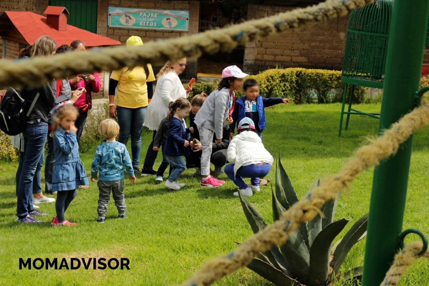 granja_del_tio_pepe_fiestas_tematicas_animales_cdmx_cumpleaños_niños1