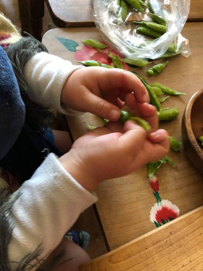 ik´tani-comunidad-educativa-pedagogia-waldorf-cdmx-ciudad-de-mexico-chicharos